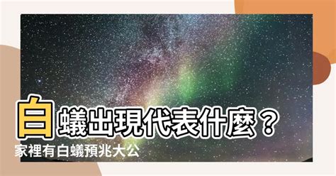 白蟻出現代表什麼風水|白蟻影響風水（風水古文口訣） — 黃渙博玄學網﹣香。